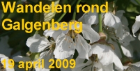 Wandeling rondom Galgenberg 19 april 2009