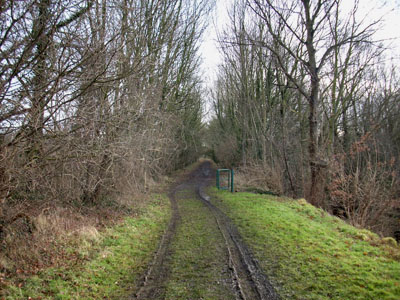 Natuurbeheer op oude spoorwegberm tussen Hasseltse Steenweg en Rooi